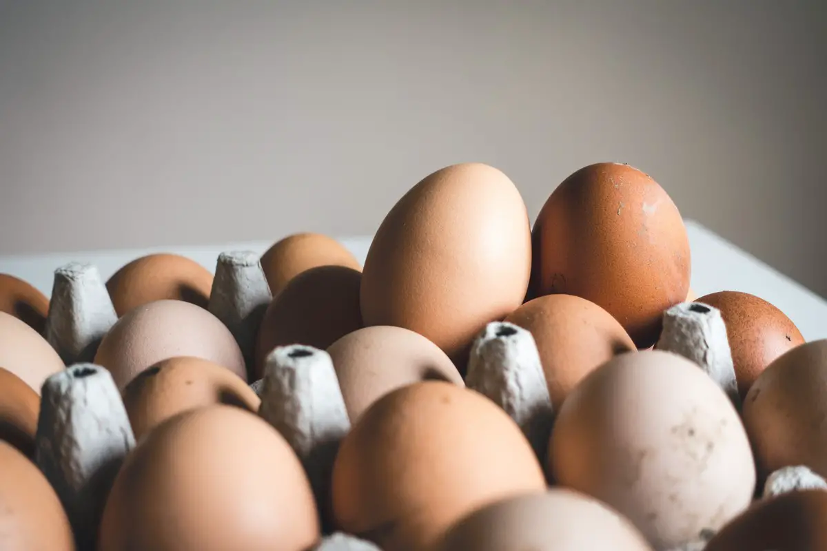 Jak długo można przechowywać jajka w lodówce?