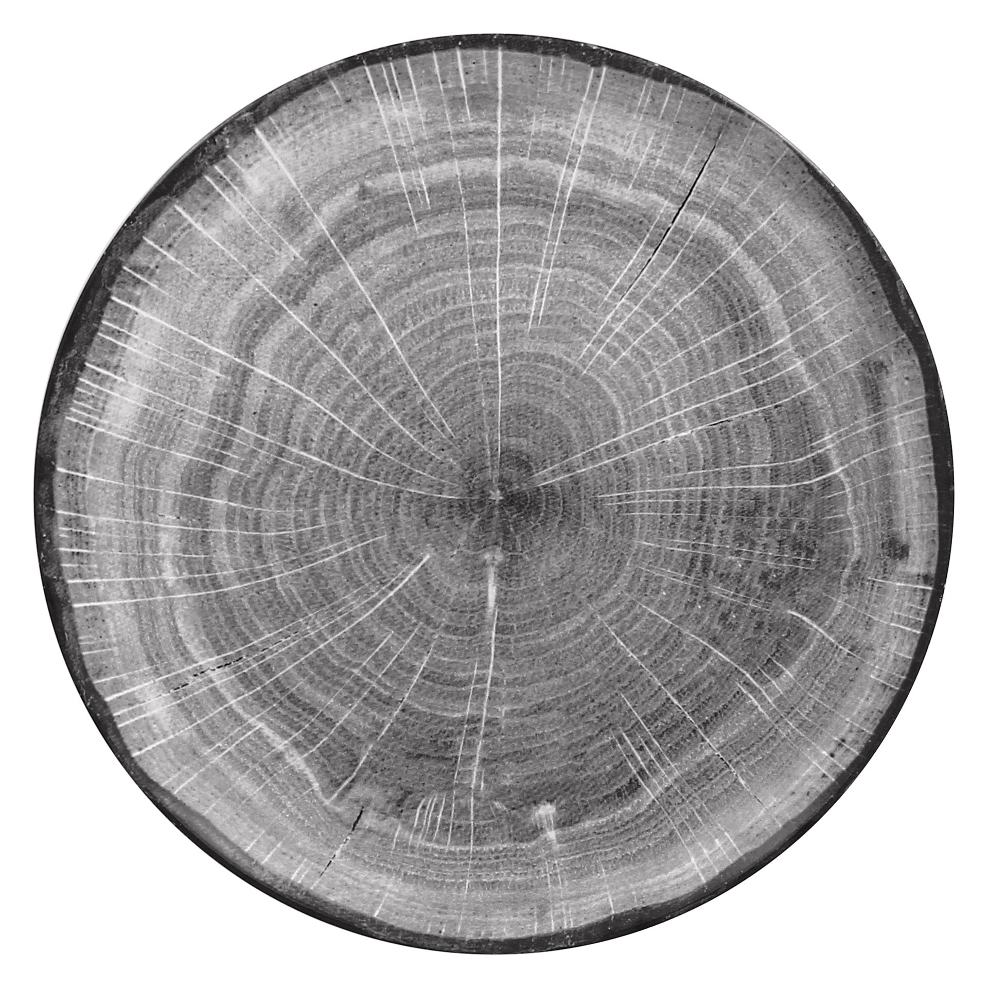 WOODART Talerz płaski szary 29 cm / RAK PORCELAIN