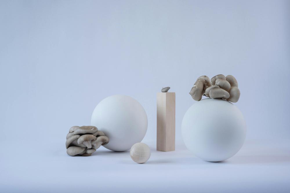 White mushrooms