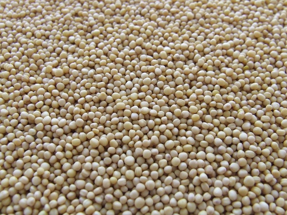 mustard ingredients