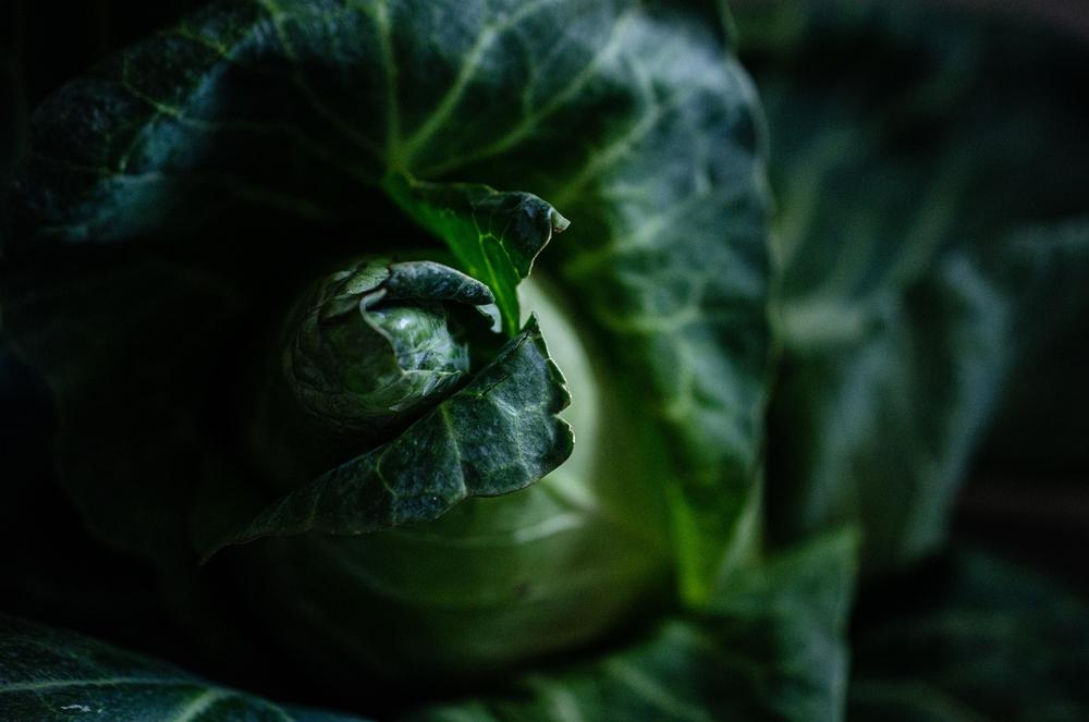 stuffed cabbage