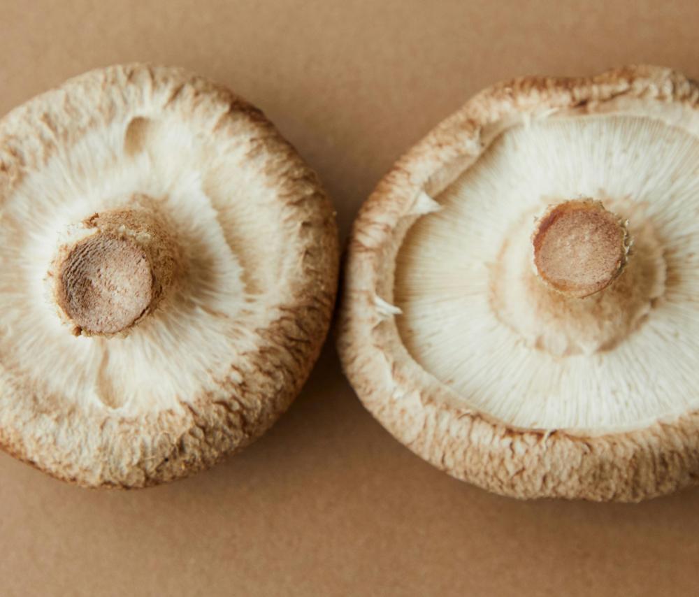 cooking mushroom