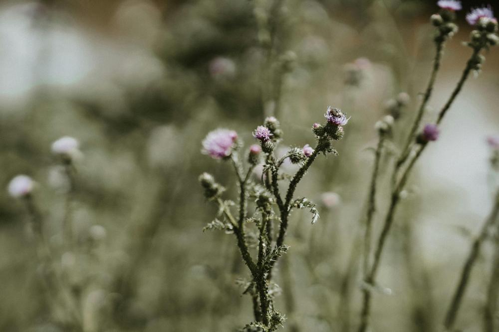 handcrafted flowers